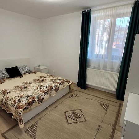 Andy Apartament Petroşani Exterior foto